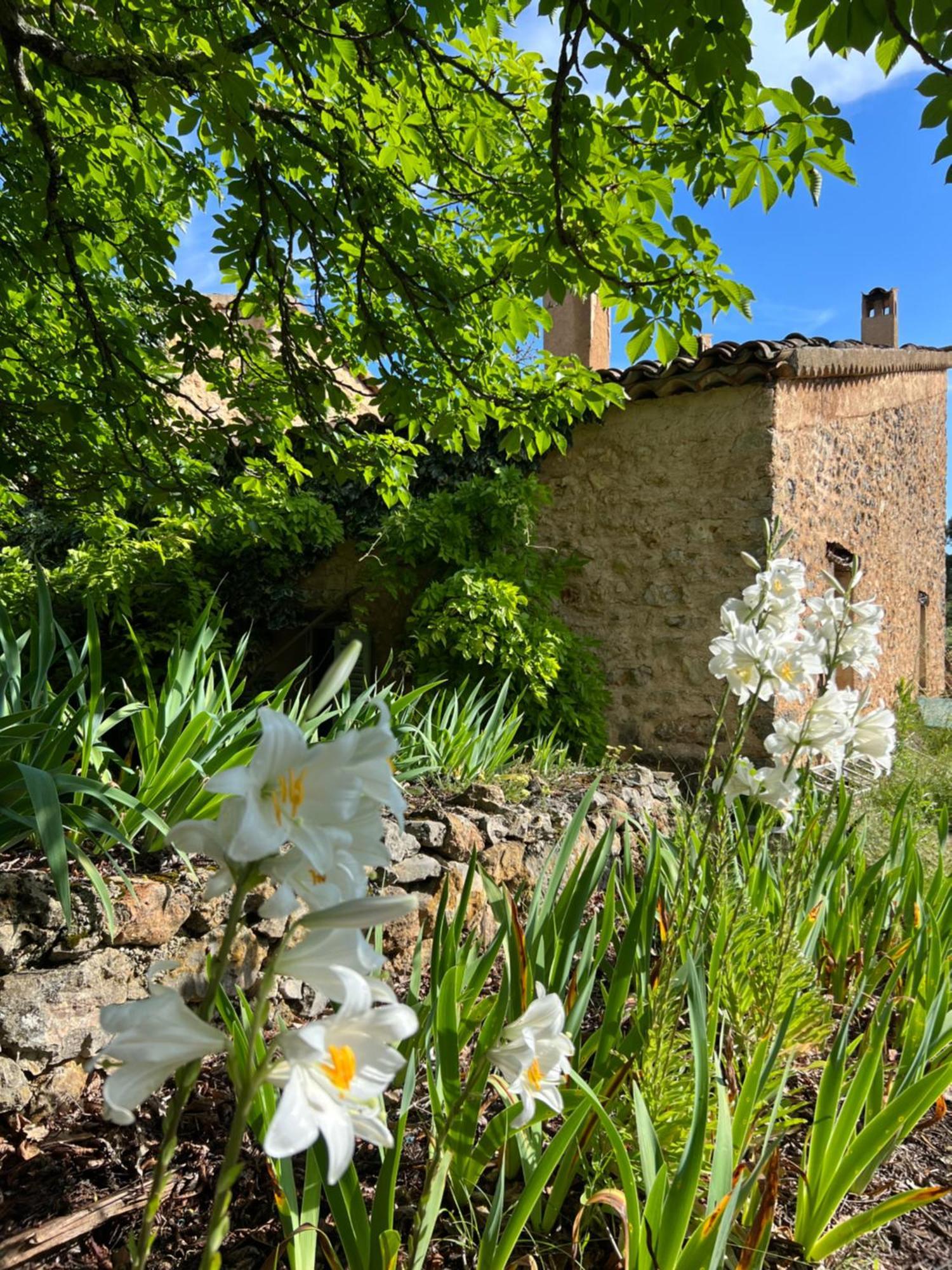 Charmant Appartement Independant Au Sein D'Un Mas Provencal Aups Zewnętrze zdjęcie