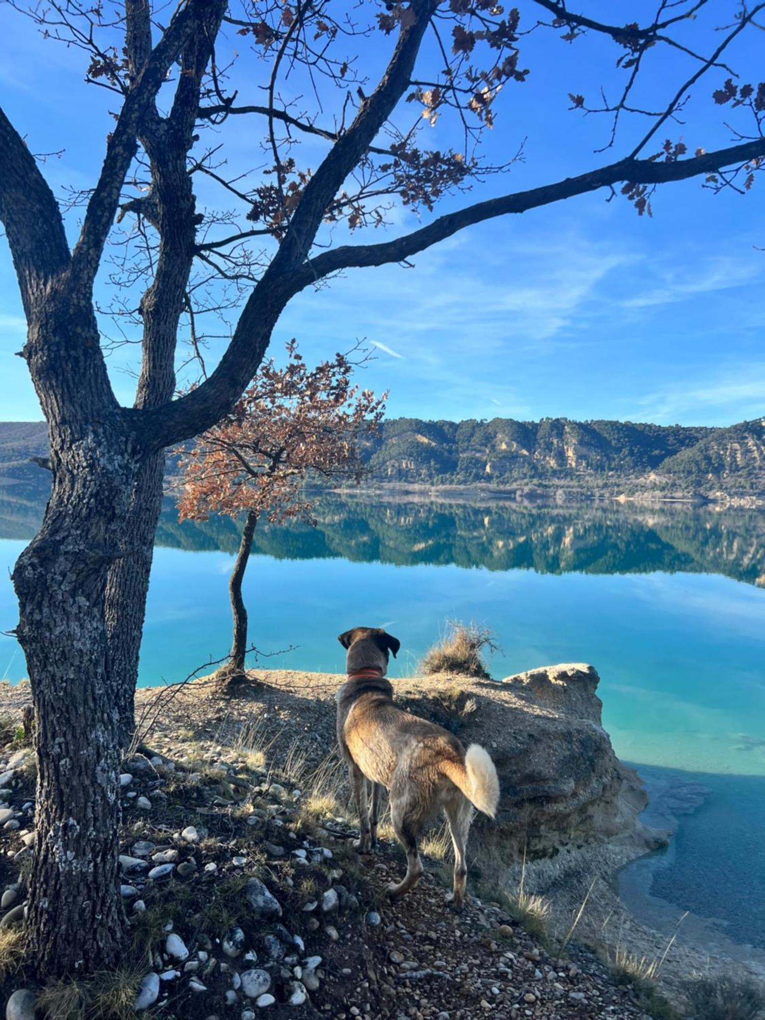 Charmant Appartement Independant Au Sein D'Un Mas Provencal Aups Zewnętrze zdjęcie